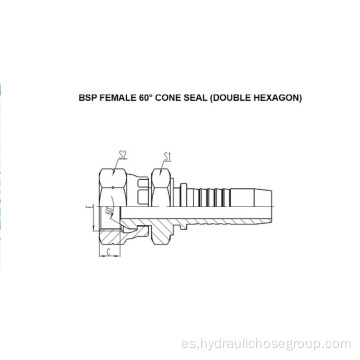 BSP Hembra de 60 ° Sello cónico Doble Hexágono 22611D